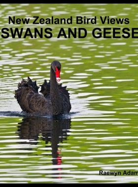 【预售】New Zealand Bird Views: Swans and Geese
