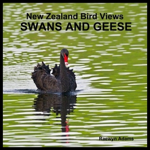 Zealand Bird Views and New Swans Geese 预售