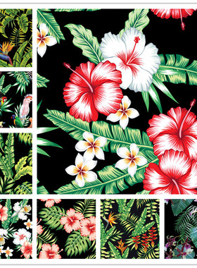 A1337矢量热带植物花朵鹤望兰鸡蛋花兰花四方连续图 AI设计素材