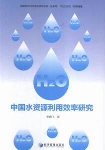 正版 中国水资源利用效率研究 飞 书店 水资源调查与水利规划书籍 书 畅想畅销书