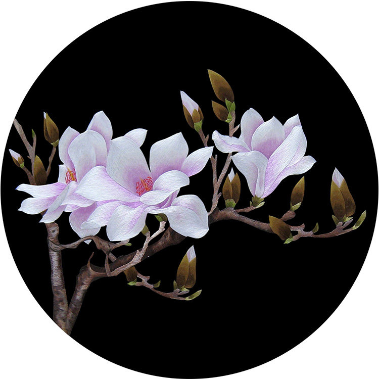 苏绣diy套件初学入门针迹扫描黑底圆形玉兰花木兰手工自学刺绣