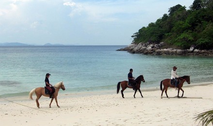 【惬意旅游】毛里求斯浪漫沙滩骑马