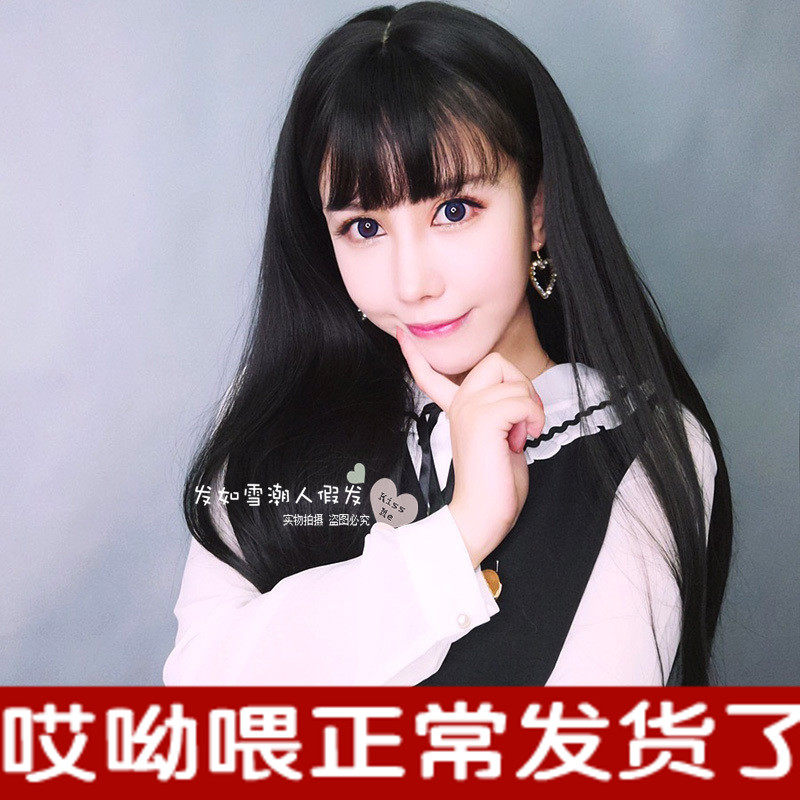 Perruque Long cheveux raides - Ref 2610293 Image 1