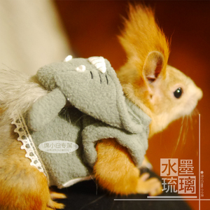 小小麦家松鼠衣服貂兔子都可订做摇呢绒保暖小衣服卖萌动漫龙猫衣