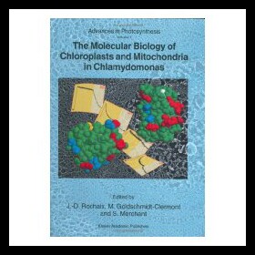 【预售】The Molecular Biology of Chloroplasts and Mitocho