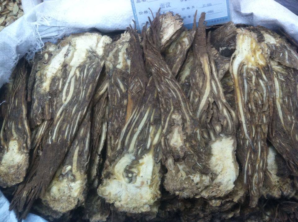 全当归片压片无硫当归500克