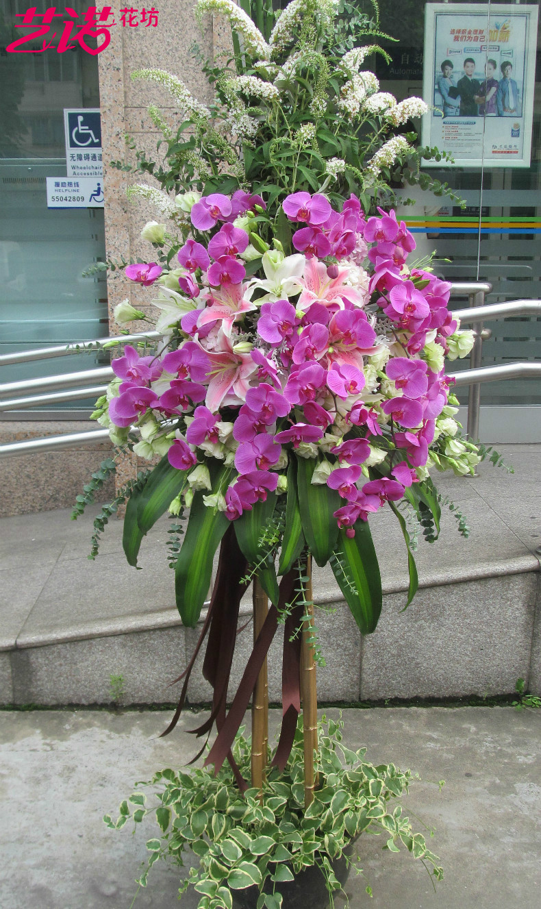 上海同城速递鲜花蝴蝶兰鲜花盆栽花卉绿植开业乔迁庆典明星演唱会|msdalam kategori penghantaran bunga/bunga simulasi/tumbuhan berkebun, Perniagaan dengan bunga - dari Buy2taobao.com untuk memberikan perkhidmatan ejen Taobao profesional membeli