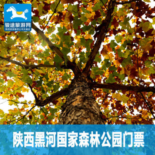 马来西亚沙巴山打根海龟岛国家公园保护区2天