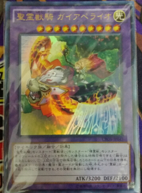 游戏王 904/TW01 圣灵兽骑 地火狮 N/NPR/UR/SR/SPR/SER/SEPR