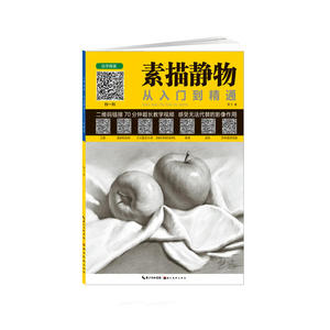 素描静物从入门到精通