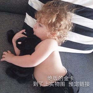 【丸子】jellycat bunny 绝版金卡限量收藏兔子 jamie maisie等