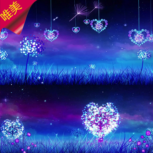 小夜曲 蒲公英 浪漫爱心 夜晚蒲公英 夜色草地 星空 视频素材