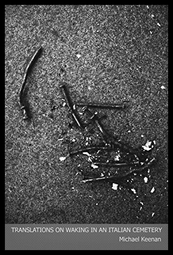 【预售】Translations on Waking in an Italian Cemetery