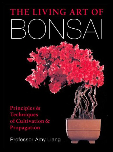 【预售】The Living Art of Bonsai: Principles & Techniques
