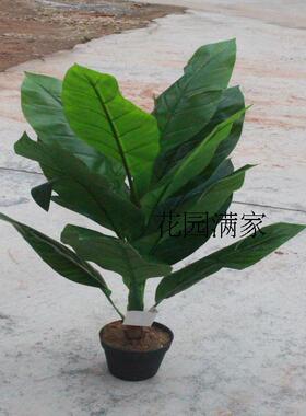 仿真植物假树叶落地盆栽高仿蝎尾蕉叶子摄影美人蕉叶工程装饰销售