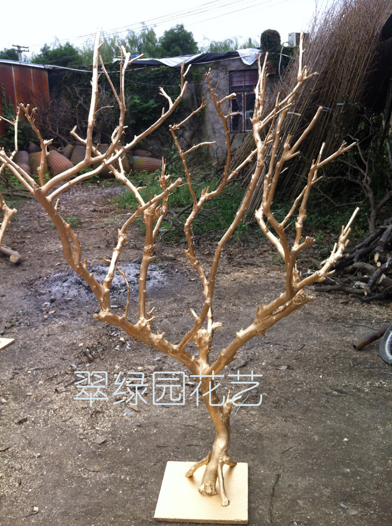 天然枯树枝金树杆真树干 许愿树橱窗装饰造型树婚庆道具树白树枝
