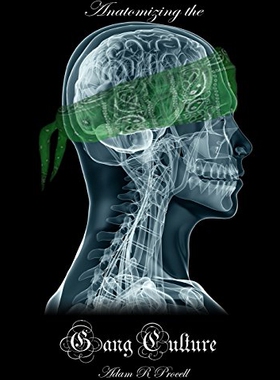 【预售】Anatomizing the Gang Culture