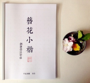 簪花小楷书法硬笔钢笔字帖 常用字3500字+千字文+李清照诗词