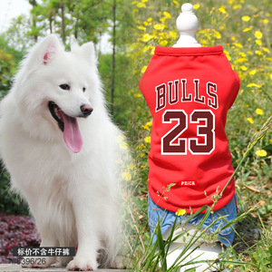 佩它 BULLS23号大型犬运动T恤萨摩金毛大狗衣服哈士奇春夏装薄款