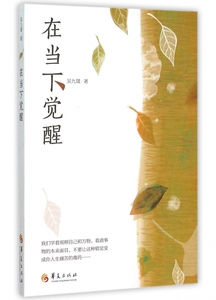在当下觉醒 博库网