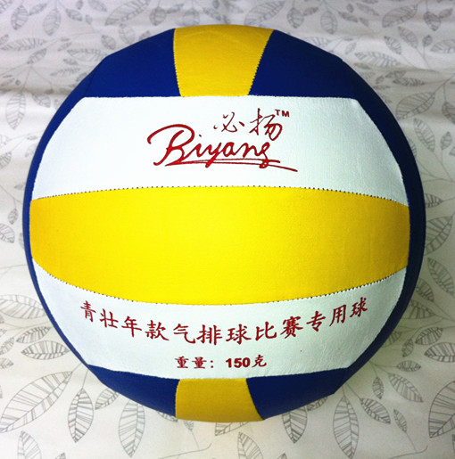 Ballon de volley - Ref 2007991 Image 3