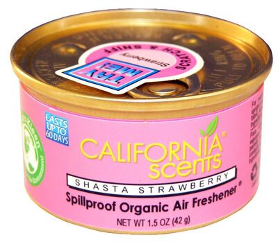 加州香味罐头 California Scents 草莓味 清新好闻 香味图书馆