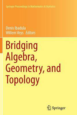 【预订】Bridging Algebra, Geometry, and Topology