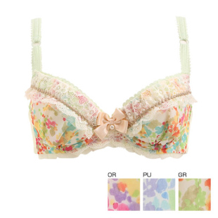 聚拢爆乳 65C65D65E70B75A75B75C80D80E出口原单文胸碎花套装