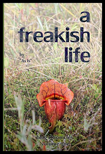 【预售】A Freakish Life, Volume One