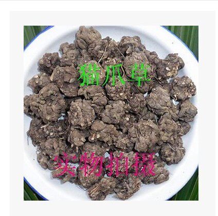 野生猫爪草500g药用正品猫抓草猫瓜草中/药材新鲜另售夏枯草茶