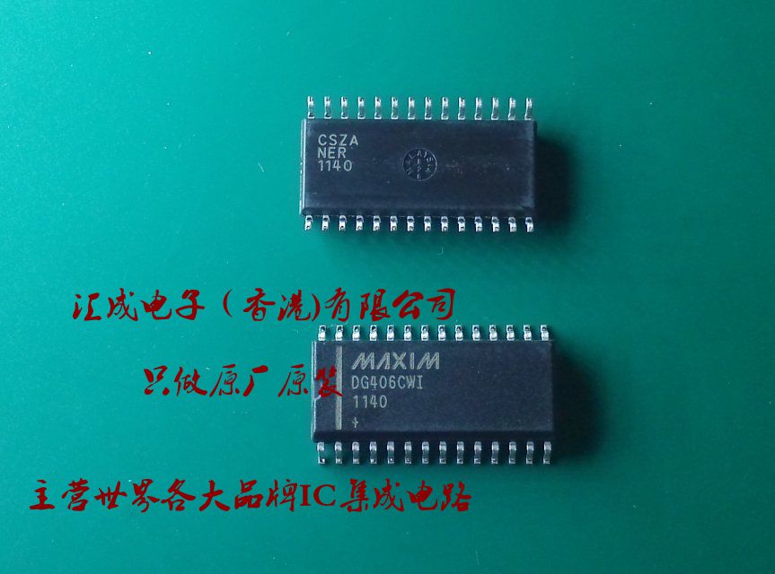 DG406CWI DG406CW DG406C DG406 SOP28 全新原装