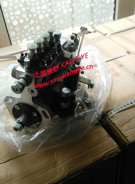 喷油泵 4IW284和1111010-B48-AS11WF和4PL1261和4PL1332和4PL311