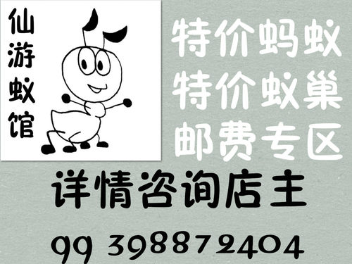 特价蚂蚁 特价蚁巢处理  二手亚克力石膏蚁巢 蚂蚁弱后残后孤后  邮费专区 详情咨询店主 旺旺 QQ都行