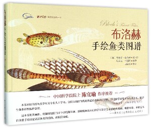 布洛赫手绘鱼类图谱(精)/博物学经典丛书/博物文库