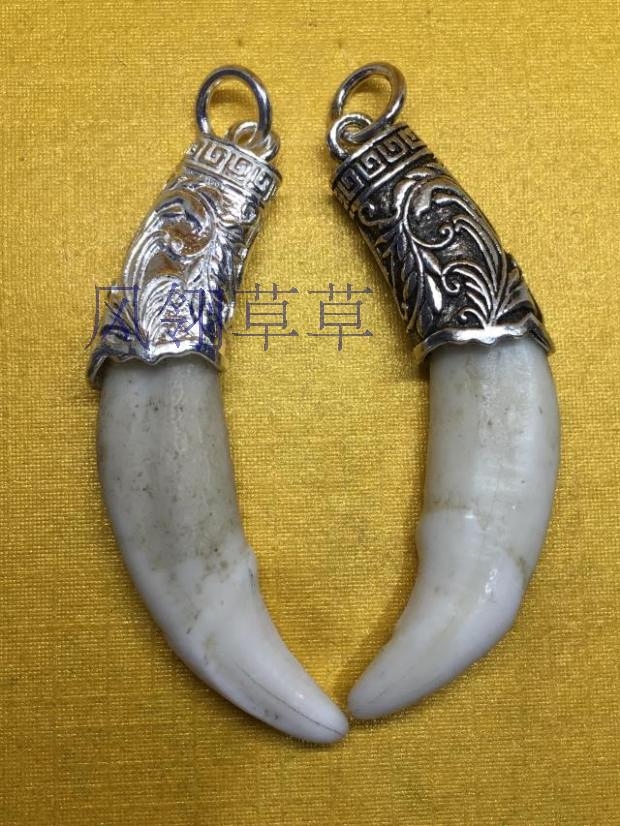 狗牙银套纯银狗牙项链包银镶银吊坠男项链狗牙饰品藏獒牙护身符