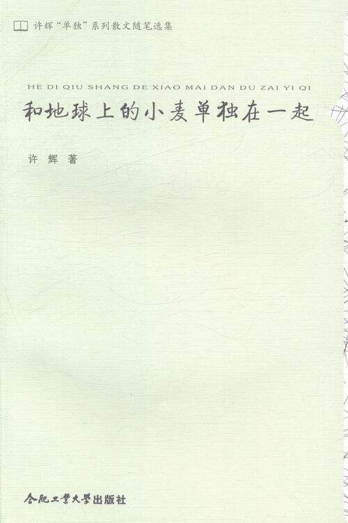 正版 和自己的心情单独在一起 许辉 书店 中国现当代随笔书籍 畅销书
