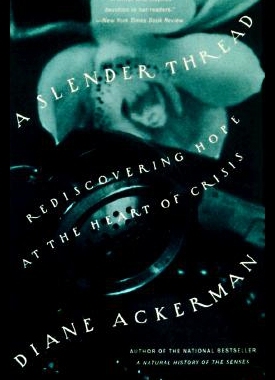 【预售】A Slender Thread: Rediscovering Hope at the Heart