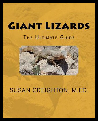 【预售】Giant Lizards