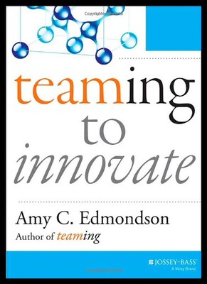 【预售】Teaming to Innovate (J-