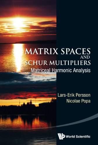 【预订】Matrix Spaces and Schur Multipliers 书籍/杂志/报纸 原版其它 原图主图