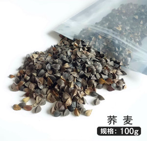 买二送一 带壳荞麦 仓鼠粮食魔王松鼠零食龙猫主粮熊仔磨牙粮