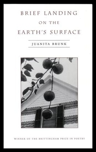 Landing Surface 预售 Earth Brief the