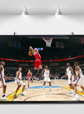 篮球nba公牛队后卫霸气装饰画