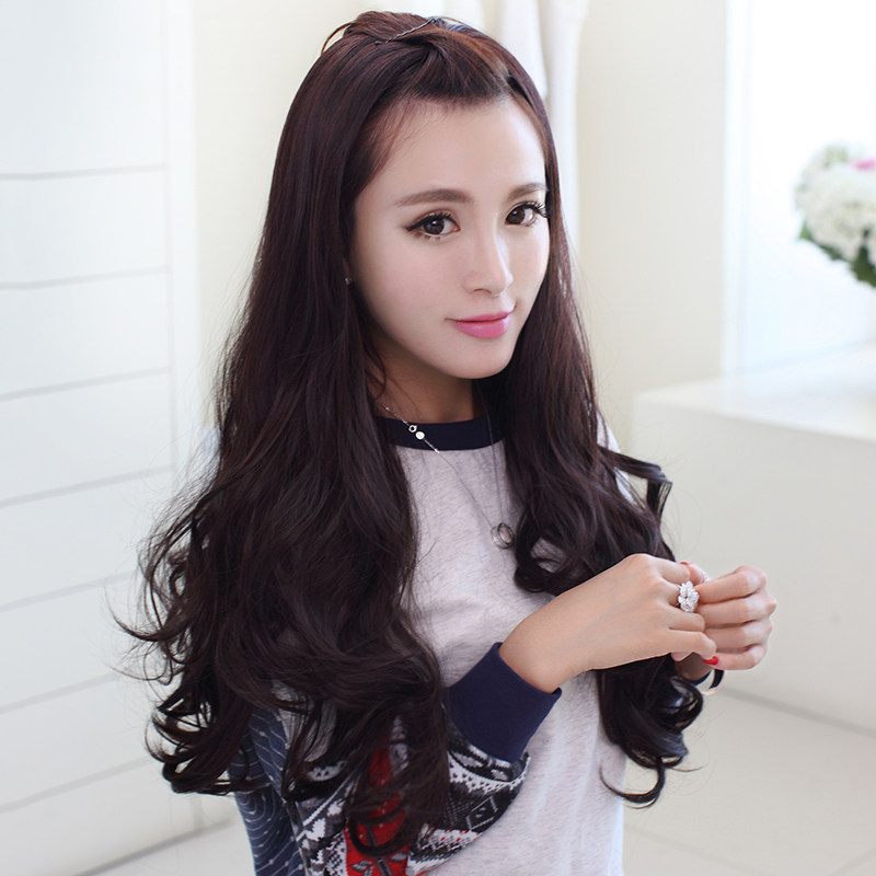 Perruque Les cheveux longs - Ref 2613398 Image 1