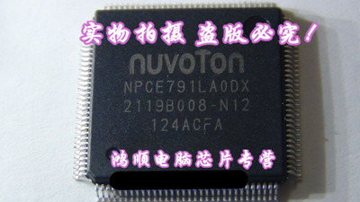 集成电路NPCE795GAODX新的