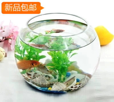 生态大号透明圆形玻璃水培金鱼缸