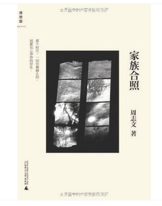 家族合照(一个家族的破碎记忆，一整代漂泊的人们的不安)