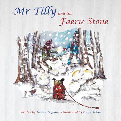 【预售】MR Tilly and the Faerie Stone