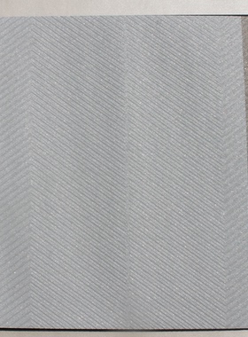 德国进口无纺发泡现代简约客厅卧室墙纸30698-2 30698-3 -4 -5