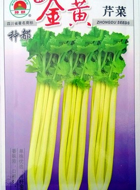种都金黄芹菜 种子 彩芹 白芹 香芹 西芹 小、大叶芹菜 野生芹菜